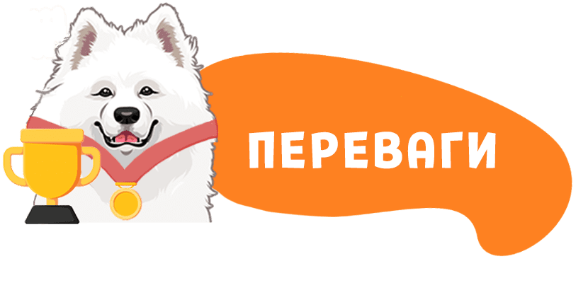 Переваги Double English